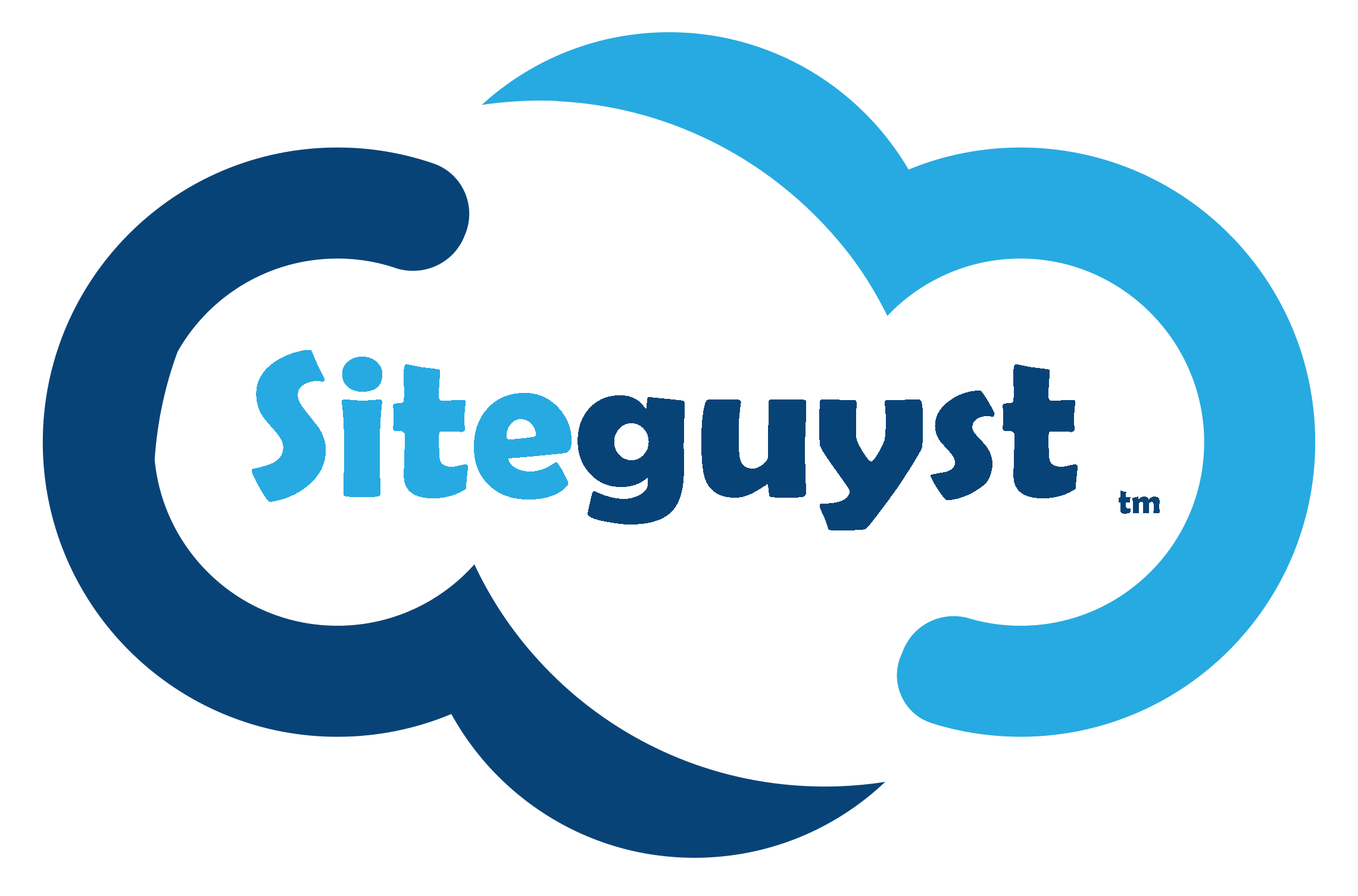 Siteguyst Valet Website Service